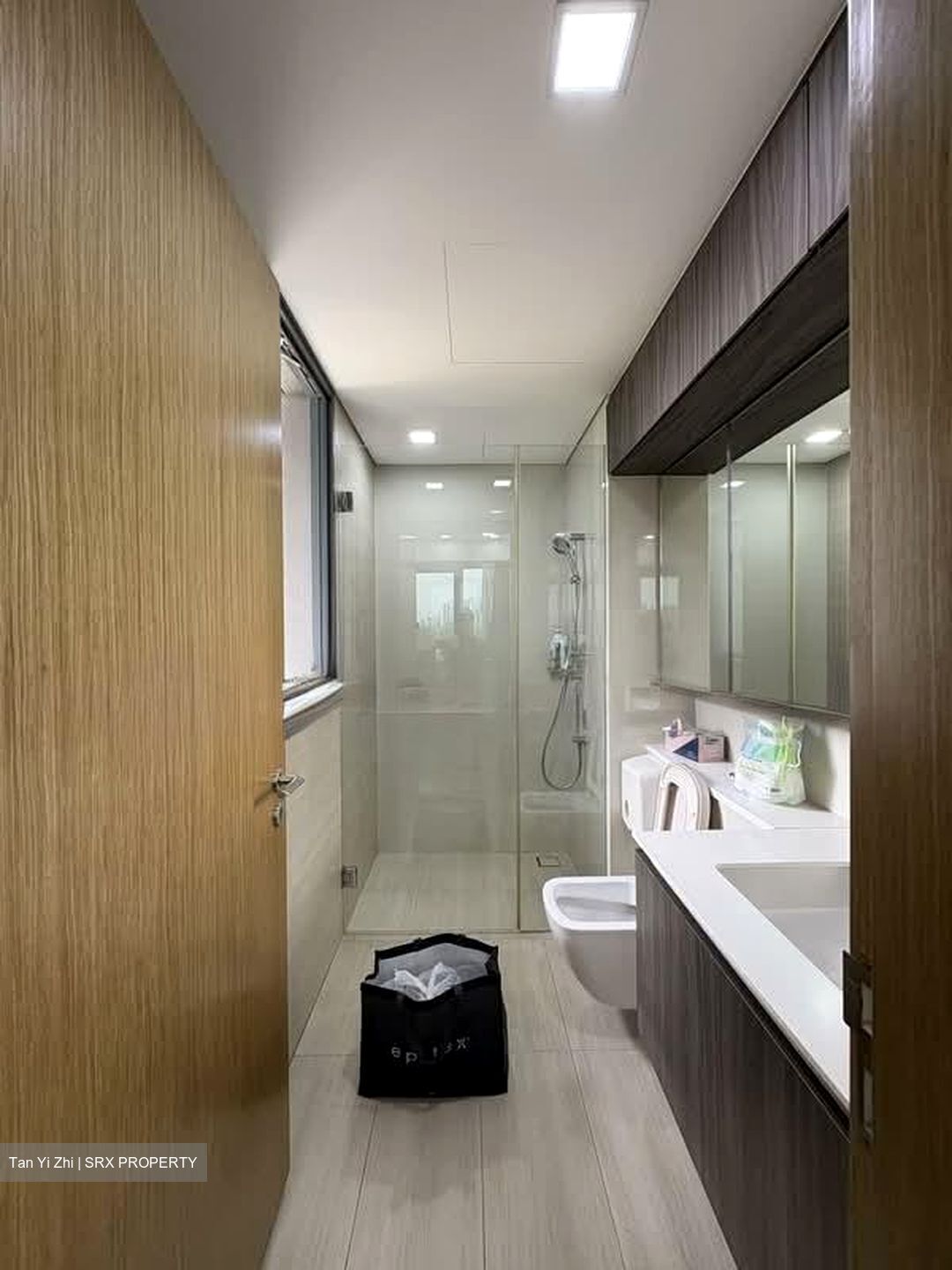 Lakeville (D22), Condominium #596504791